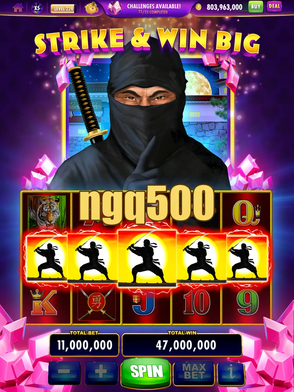 ngq500 Masuk